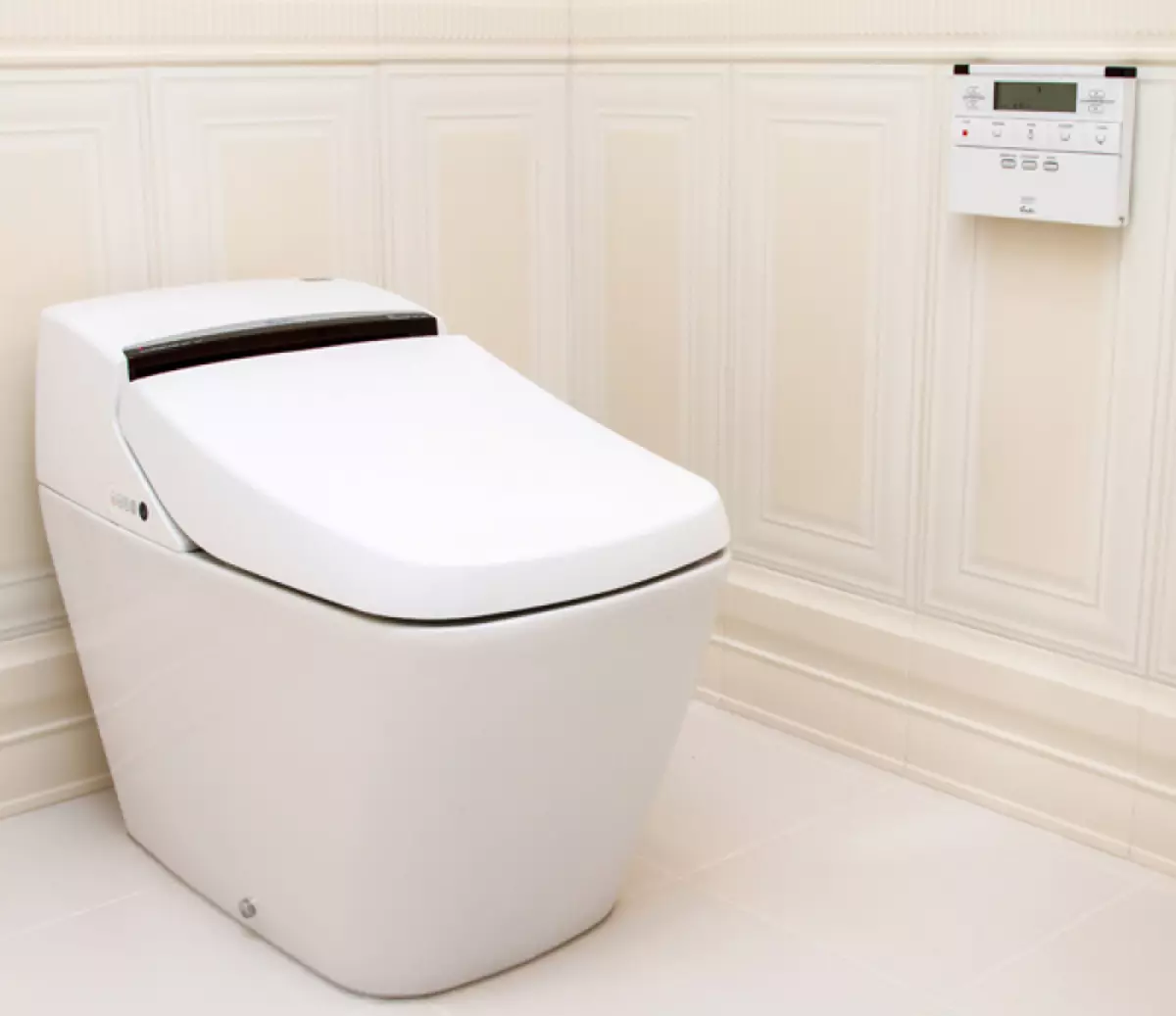 Smart Toilet: Mga matang sa elektronik nga modelo nga adunay control panel. Mga kasilyas sa Korea ug mga kasilyas sa ubang mga tiggama 10467_22