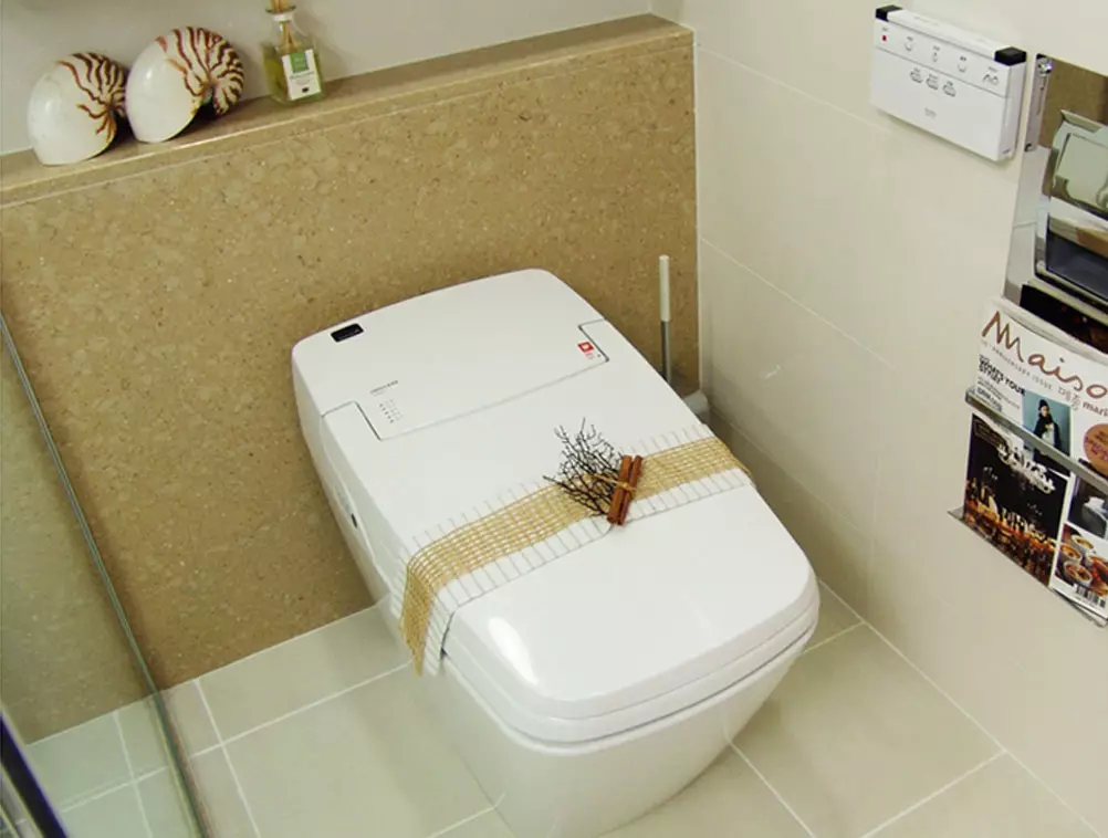 Smart Toilet: Mga matang sa elektronik nga modelo nga adunay control panel. Mga kasilyas sa Korea ug mga kasilyas sa ubang mga tiggama 10467_23