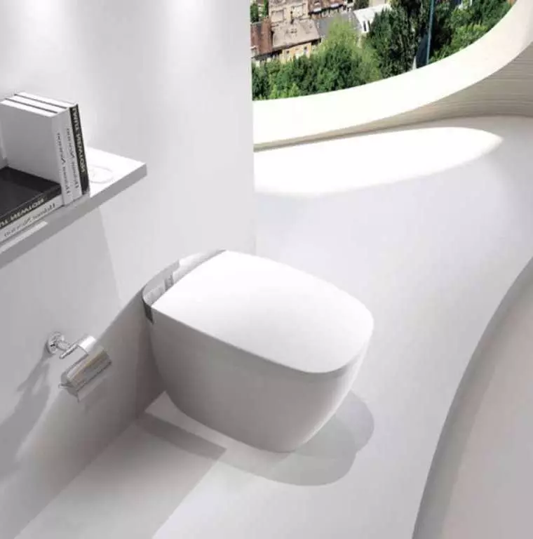 Smart Toilet: Mga matang sa elektronik nga modelo nga adunay control panel. Mga kasilyas sa Korea ug mga kasilyas sa ubang mga tiggama 10467_26