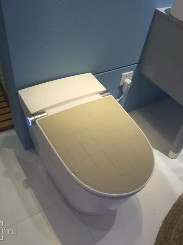 Smart Toilet: Mga matang sa elektronik nga modelo nga adunay control panel. Mga kasilyas sa Korea ug mga kasilyas sa ubang mga tiggama 10467_27