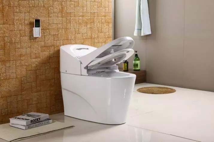 Smart Toilet: Mga matang sa elektronik nga modelo nga adunay control panel. Mga kasilyas sa Korea ug mga kasilyas sa ubang mga tiggama 10467_3