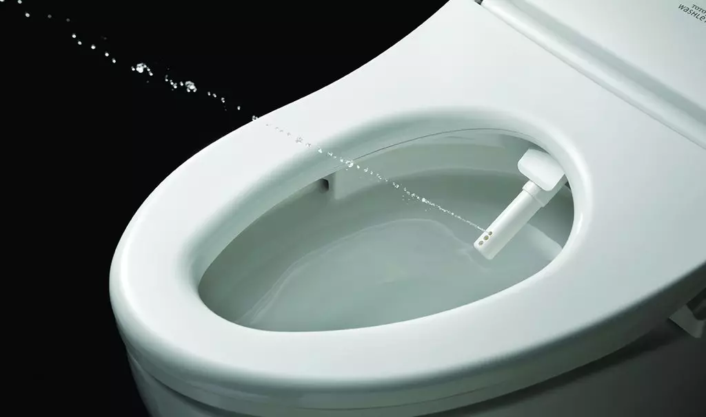 توالت هوشمند: انواع مدل های الکترونیکی با کنترل پنل. توالت های کره ای و توالت های دیگر تولید کنندگان 10467_5