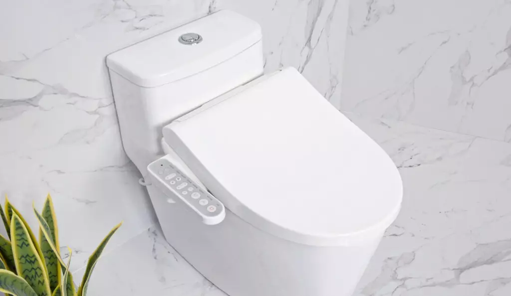 توالت هوشمند: انواع مدل های الکترونیکی با کنترل پنل. توالت های کره ای و توالت های دیگر تولید کنندگان 10467_6