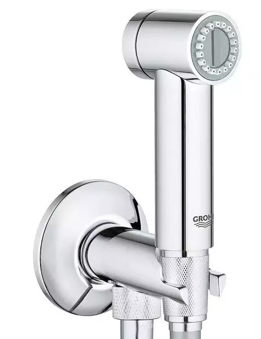 Hygienická sprcha GROHE: Sada s míchačkami a vodními panely, bauflow a baucurve recenze, modely s hadicí a termostatem 10468_13