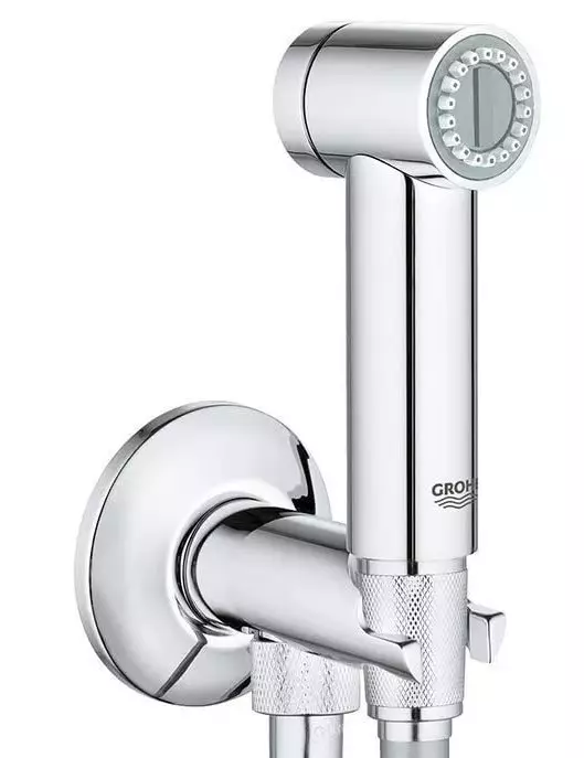 Cawod hylendid Grohe: set gyda chymysgwyr a byrddau dŵr, Adolygiad Bauflow a Baucurve, modelau gyda phibell a thermostat 10468_13