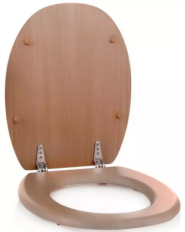 Sittplats för toalett: Hur man väljer en stolar, funktioner av mjuka fälgar med lock och trästätor, välj universella modeller och uppvärmda säten 10471_31