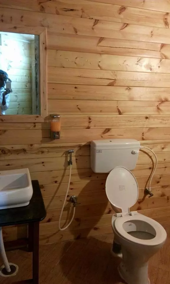Badezimmer in einem Holzhaus (76 Fotos): Zimmerauslegung in einem Haus einer Bar im Land, Beispiele für Bodenabfertigung, Lüftungsschemata 10475_11