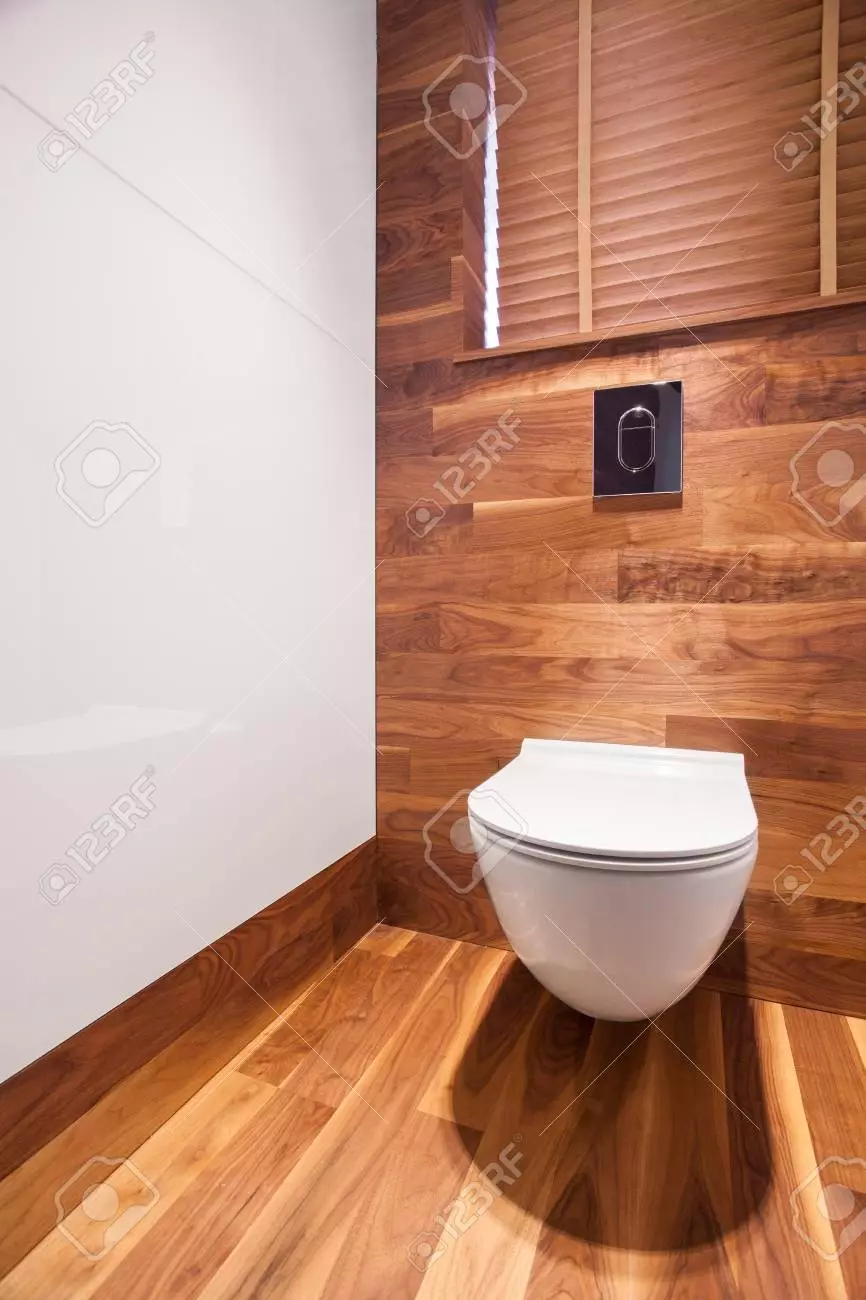Badezimmer in einem Holzhaus (76 Fotos): Zimmerauslegung in einem Haus einer Bar im Land, Beispiele für Bodenabfertigung, Lüftungsschemata 10475_5