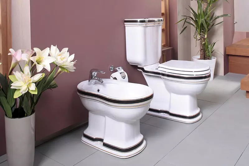 शौचालय क्या करता है? चीनी मिट्टी के बरतन और प्लास्टिक, faience और धातु, संगमरमर और स्टेनलेस स्टील, पारदर्शी और कांच 10476_13