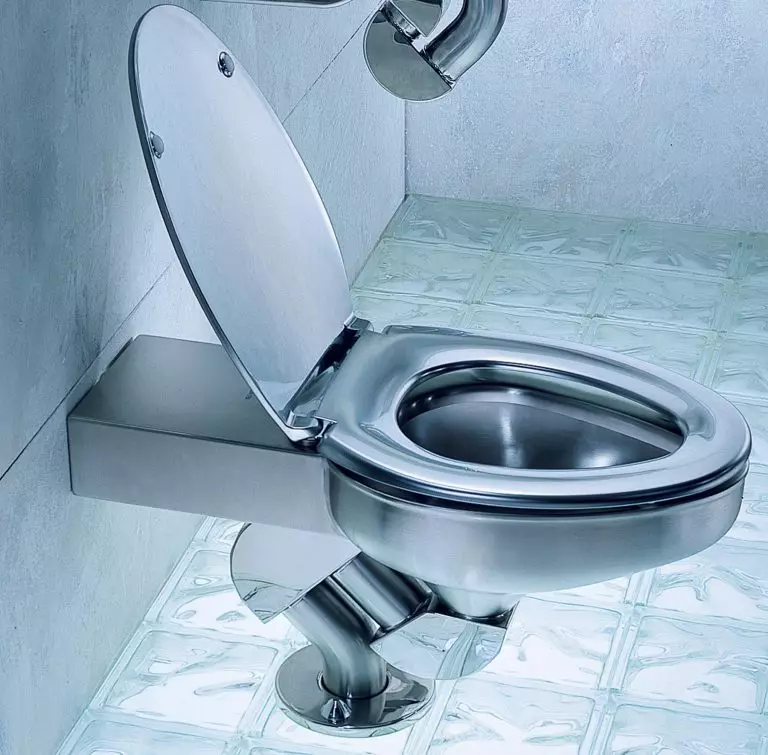 शौचालय क्या करता है? चीनी मिट्टी के बरतन और प्लास्टिक, faience और धातु, संगमरमर और स्टेनलेस स्टील, पारदर्शी और कांच 10476_16