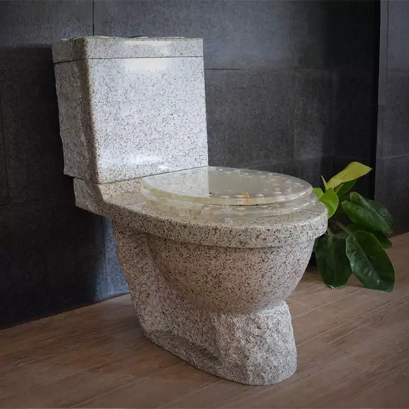 शौचालय क्या करता है? चीनी मिट्टी के बरतन और प्लास्टिक, faience और धातु, संगमरमर और स्टेनलेस स्टील, पारदर्शी और कांच 10476_29