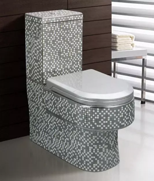 शौचालय क्या करता है? चीनी मिट्टी के बरतन और प्लास्टिक, faience और धातु, संगमरमर और स्टेनलेस स्टील, पारदर्शी और कांच 10476_34