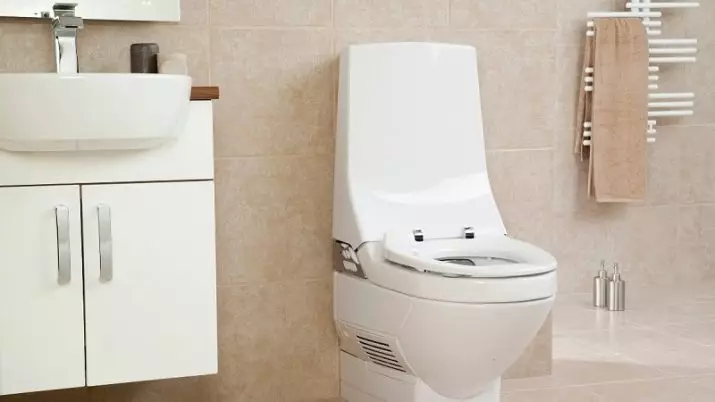 Toilet skål dimensioner: standard bredde og længde af indlejrede og gulv toilet skåle. Minimale dimensioner af forskellige modeller til toilettet 10481_10