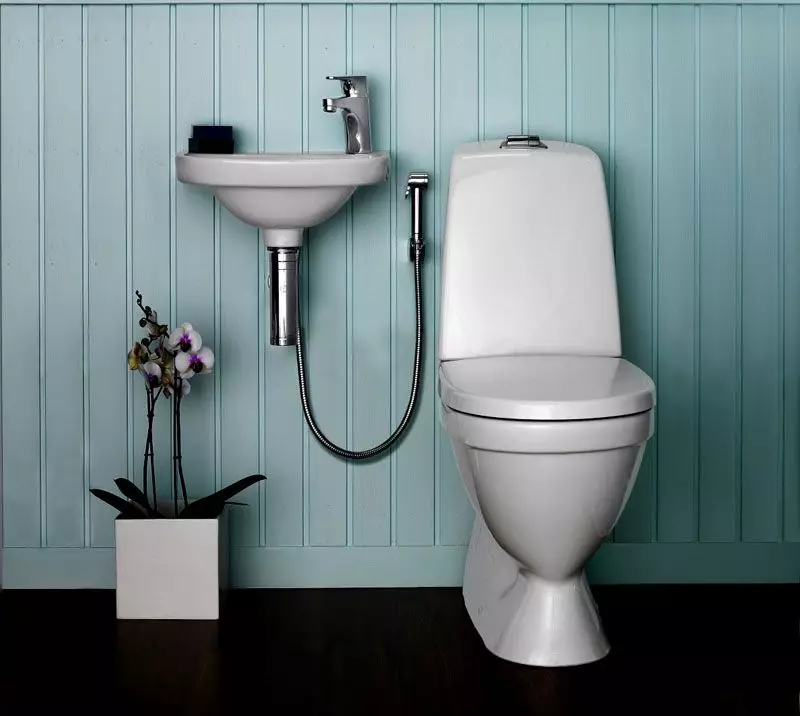 Kiçik tualet: Kiçik ölçülü tualet üçün bir tank olan mini-tualet qablarının ölçüləri. Yetkin kiçik tualetin seçimi 10484_13