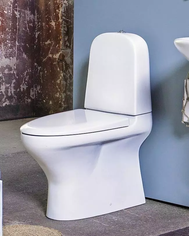 Toilet kecil: dimensi mangkuk mini-toilet dengan tangki untuk toilet berukuran kecil. Pilihan toilet kecil dewasa 10484_26