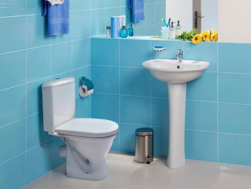 Lite toaletter: Dimensionerna av mini-toalettskålar med en tank för en liten toalett. Val av vuxen liten toalett 10484_27