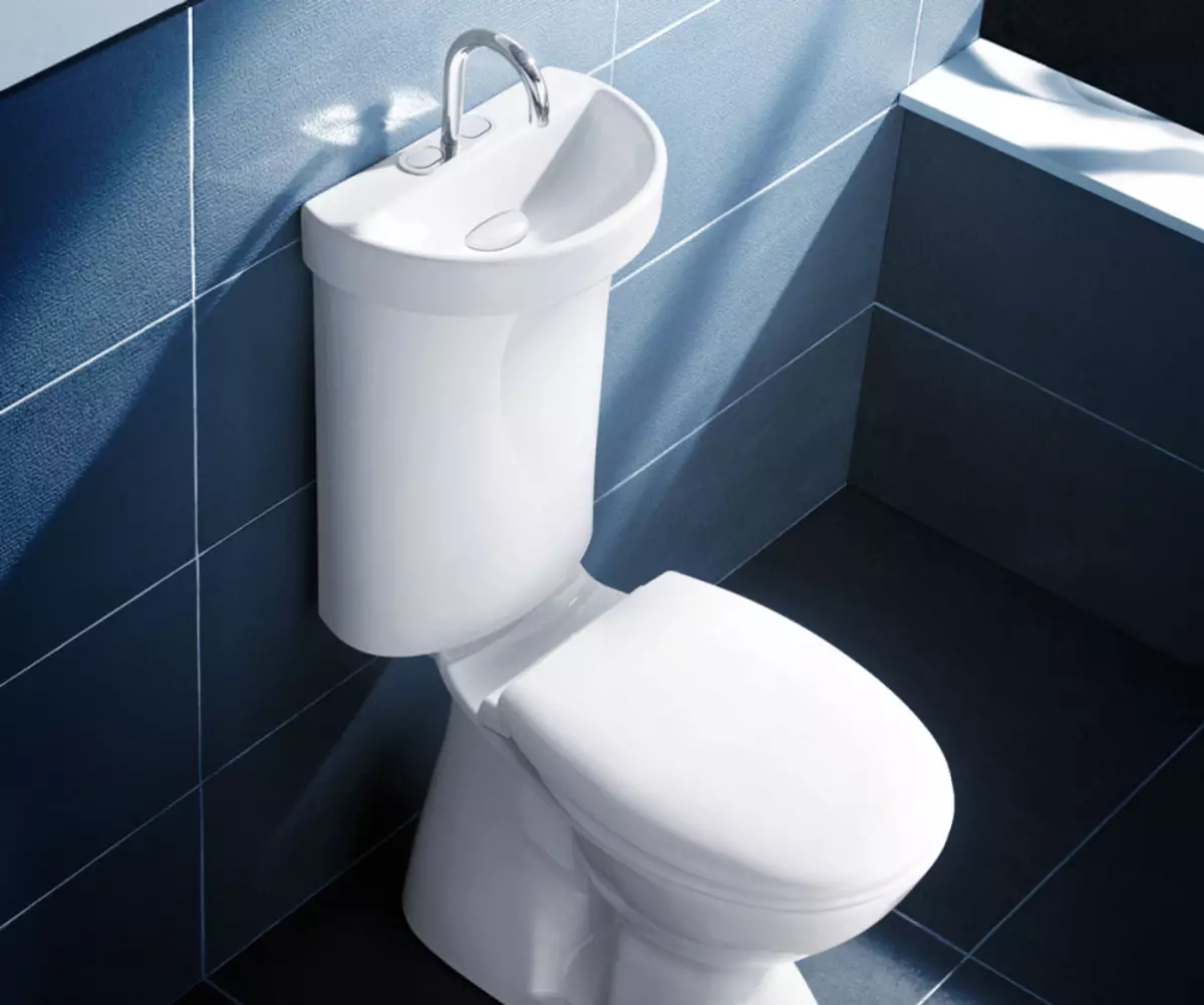 Petites toilettes: les dimensions des mini-bols de toilettes avec un réservoir pour une toilette de petite taille. Sélection de petites toilettes adultes 10484_4