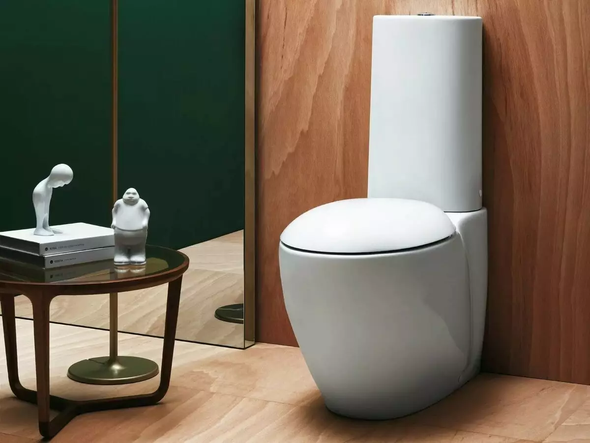 Lite toaletter: Dimensionerna av mini-toalettskålar med en tank för en liten toalett. Val av vuxen liten toalett 10484_8