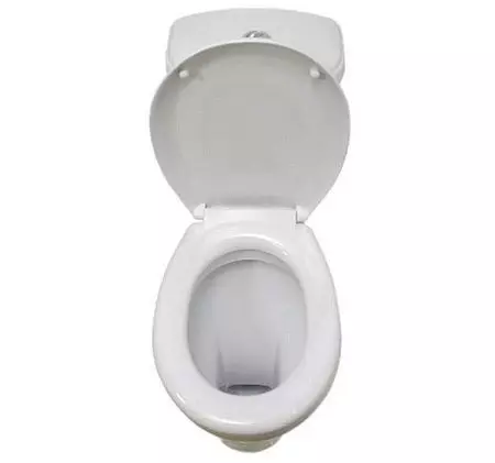 Sancenk Toilette Sëtz: Charakteristiken vun der Sëtzer 