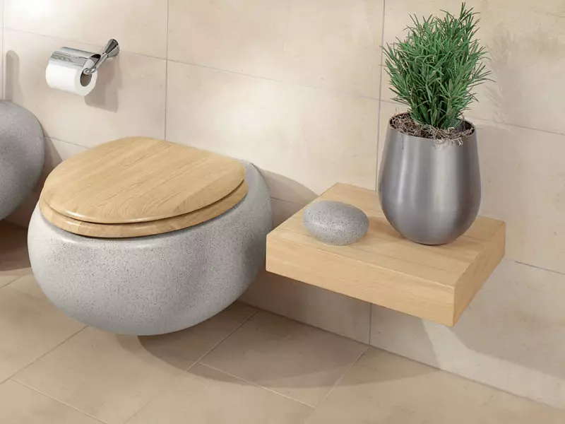 Тоалетна чиния с рафт (38 снимки): Изберете открит и окачен модели с рафт вътре в купата. Модерни цветни модели в интериора 10490_10
