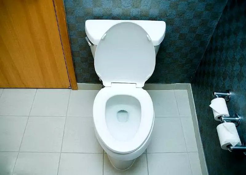Bowl Toilet karo beting (38 foto): Pilih model ruangan lan digantung kanthi rak ing njero mangkuk. Model Warna Modern ing njero ruangan 10490_15