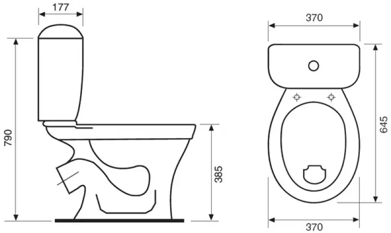 Toilet Bowl dengan rak (38 foto): Pilih model luar dan ditangguhkan dengan rak di dalam mangkuk. Model warna modern di interior 10490_18