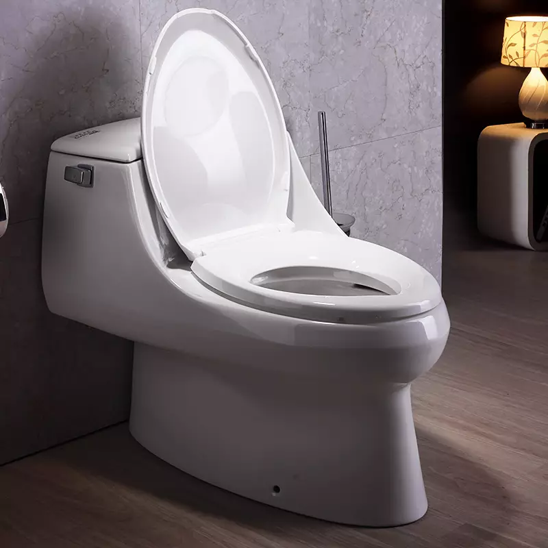 Bowl de toaletă cu raft (38 fotografii): Selectați modelele în aer liber și suspendate cu un raft în interiorul castronului. Modele de culori moderne în interior 10490_22