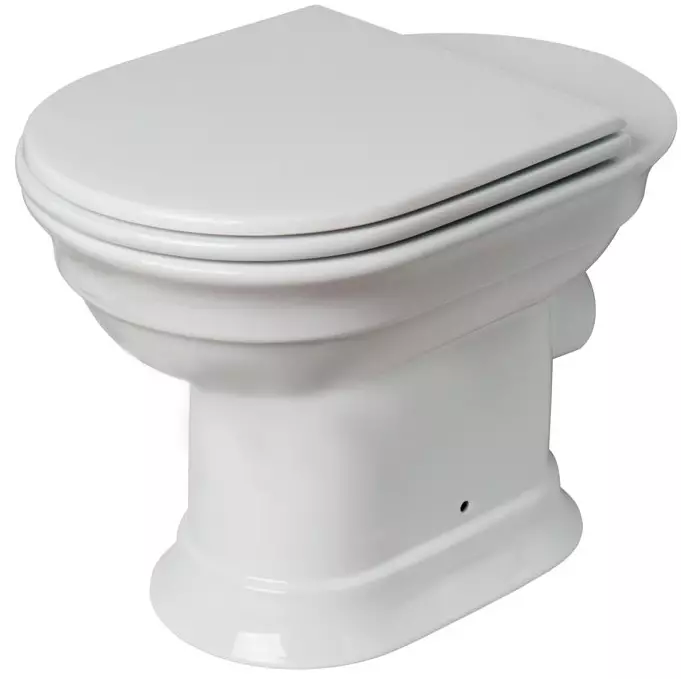 Тоалетна чиния с рафт (38 снимки): Изберете открит и окачен модели с рафт вътре в купата. Модерни цветни модели в интериора 10490_27