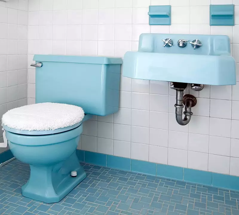 Bowl Toilet karo beting (38 foto): Pilih model ruangan lan digantung kanthi rak ing njero mangkuk. Model Warna Modern ing njero ruangan 10490_34