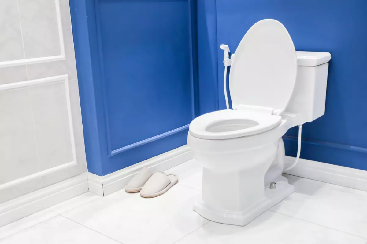 Bowl Toilet karo beting (38 foto): Pilih model ruangan lan digantung kanthi rak ing njero mangkuk. Model Warna Modern ing njero ruangan 10490_4
