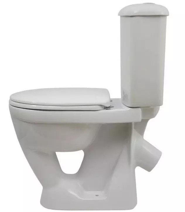 Bowl Toilet karo beting (38 foto): Pilih model ruangan lan digantung kanthi rak ing njero mangkuk. Model Warna Modern ing njero ruangan 10490_7