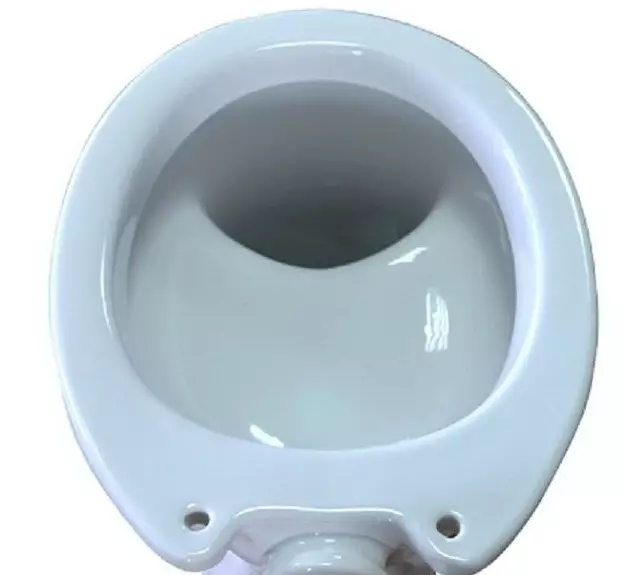 Bowl Toilet karo beting (38 foto): Pilih model ruangan lan digantung kanthi rak ing njero mangkuk. Model Warna Modern ing njero ruangan 10490_8