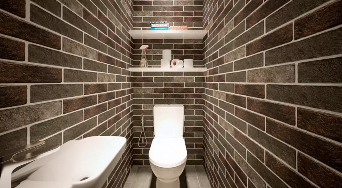 مرحاض لوفت (40 صور): خيارات التصميم المرحاض الداخلية مساحة صغيرة جدا، واختيار الهاتف