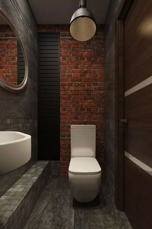 Loft WC-om (40 fotografije): WC opcija enterijera dizajn Vrlo malom prostoru, telefon izbor 10498_11