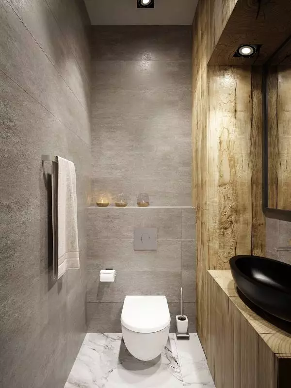 Loft tualet (40 şəkil): Toilet daxili dizayn variantları Çox kiçik sahəsi, Telefon seçilməsi 10498_22