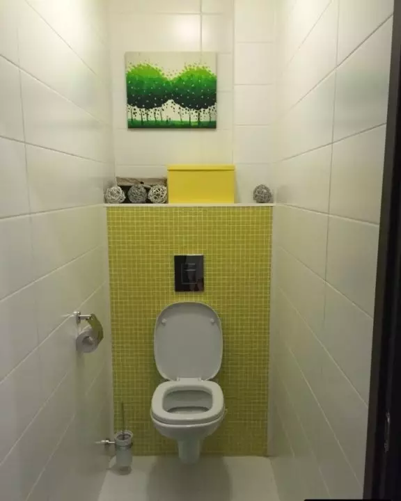 Ngjyrat e tualetit (76 foto): Përdorimi i të bardhë dhe gri, të kuq dhe të gjelbër, blu dhe të verdhë, të verdhë dhe ngjyrë bezhë në hartimin e tualetit 10500_14