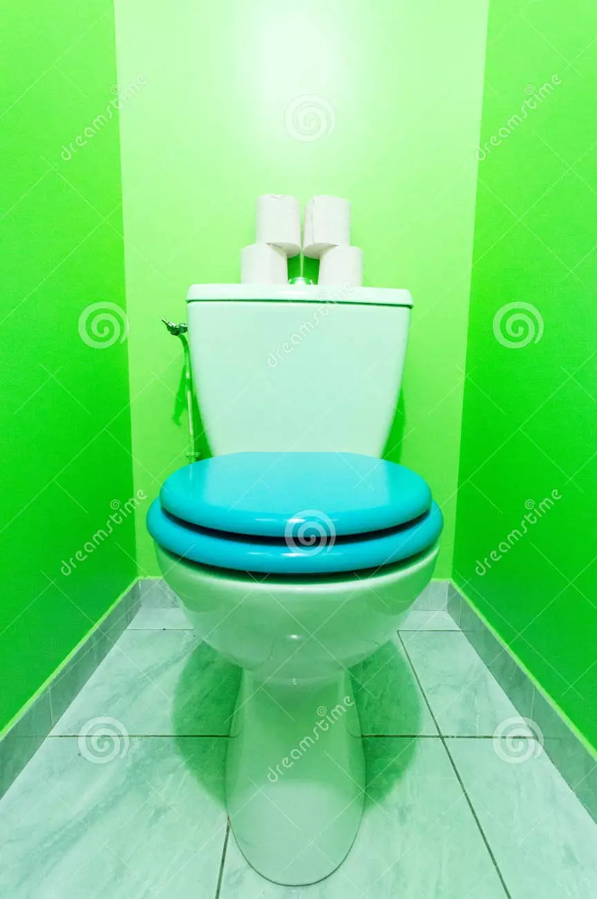 ألوان المرحاض (76 صورة): استخدام نغمات أبيض ورمادي وأحمر وأخضر وأزرق وصفراء ونغمات خفيفة وبيج في تصميم المرحاض 10500_17