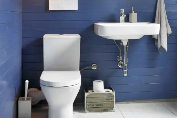 卫生间颜色（76张照片）：使用白色和灰色，红色和绿色，蓝色和黄色，光线和米色的音调在厕所的设计中 10500_2