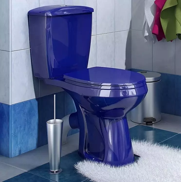 WC barvy (76 fotek): Použití bílé a šedé, červené a zelené, modré a žluté, lehké a béžové tóny v designu toalety 10500_21