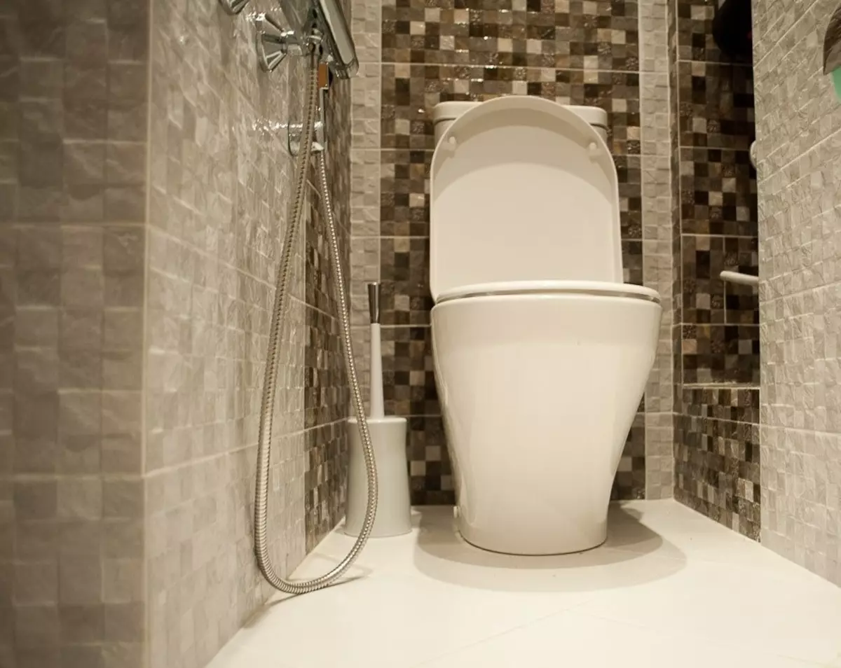 Werna Toilet (76 foto): nggunakake warna putih lan abu-abu, biru lan kuning, biru lan kuning, entheng lan beige nada ing desain toilet 10500_26