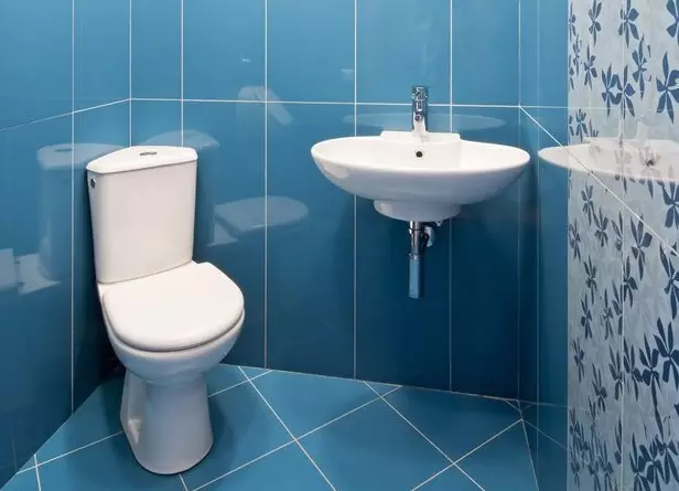 Toilettes Couleurs de toilette (76 photos): Utiliser des tons blancs et gris, rouge et vert, bleu et jaune, lumière et beige dans la conception des toilettes 10500_29