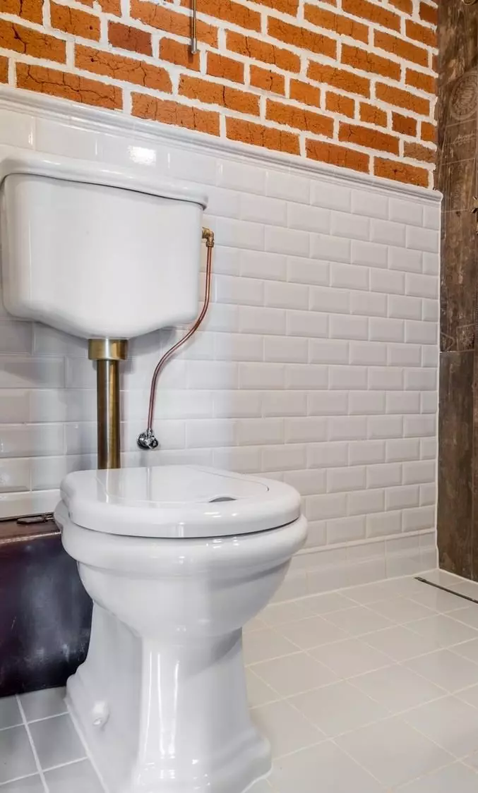 Cores de vaso sanitário (76 fotos): uso de tons brancos e cinza, vermelho e verde, azul e amarelo, luz e bege no design do banheiro 10500_50