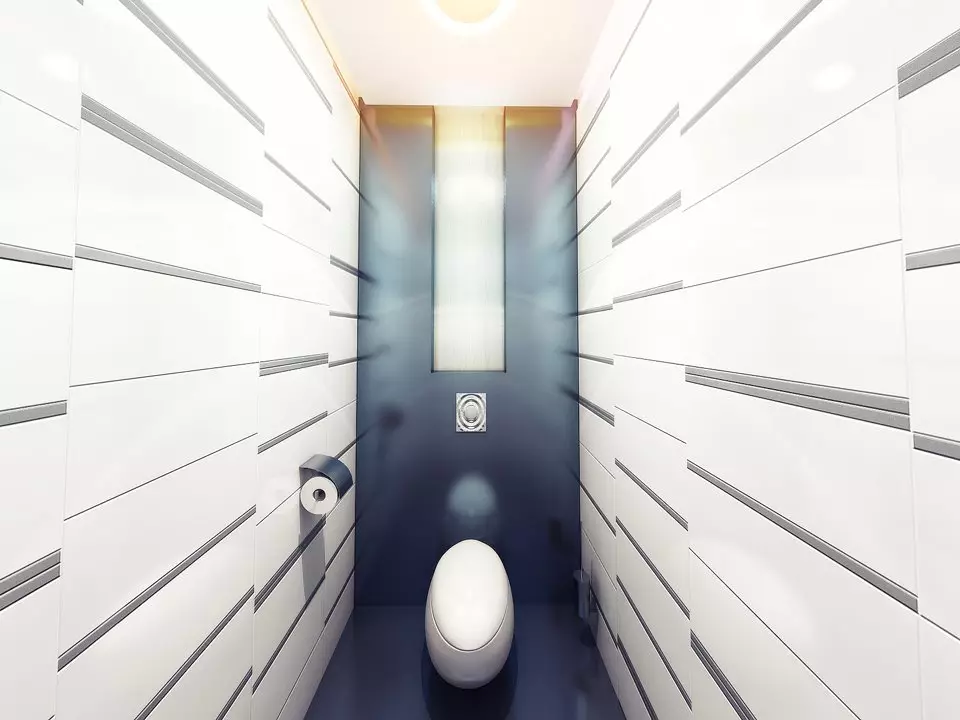 Warna toilet (76 foto): Penggunaan putih dan abu-abu, merah dan hijau, biru dan kuning, cahaya dan krem ​​dalam desain toilet 10500_53