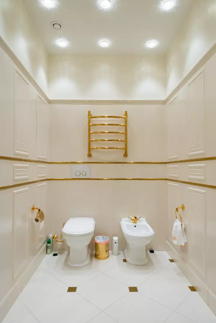 トイレットカラー（76写真）：トイレのデザインの白と灰色、赤、緑、青、黄色、光とベージュ色の使用 10500_60