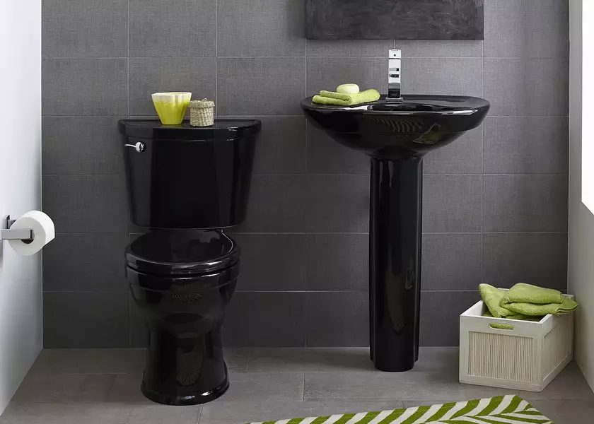 WC preto (67 fotos): Projeto de vaso sanitário em cores preto e branco, seleção de um banheiro de cor escura em um apartamento, acabamento com telhas pretas e vermelhas 10501_10