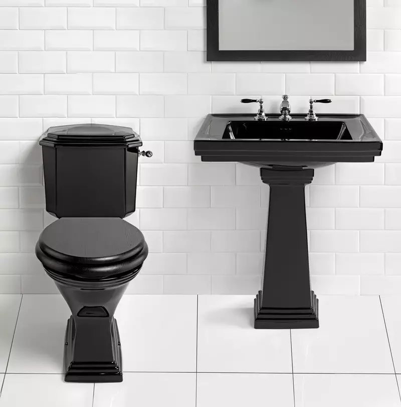 Чорний туалет (67 фото): дизайн туалету в чорно-білих тонах, підбір стилю для туалету темного кольору в квартирі, обробка чорно-червоною плиткою 10501_14
