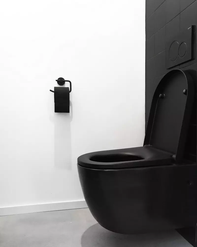 Черно тоалетна (67 снимки): тоалетна дизайн в черно и бяло цветове, избор на тъмен цвят тоалетна в апартамент, финиширайки с черни и червени керемиди 10501_17
