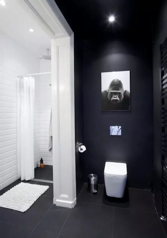 Черно тоалетна (67 снимки): тоалетна дизайн в черно и бяло цветове, избор на тъмен цвят тоалетна в апартамент, финиширайки с черни и червени керемиди 10501_26
