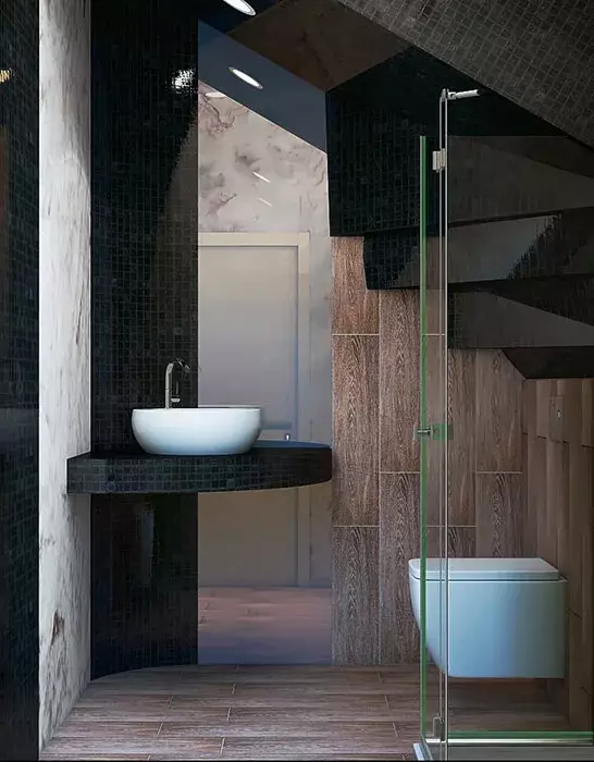 블랙 화장실 (67 장의 사진) : 흑백 색상의 화장실 디자인, 아파트의 어두운 색 화장실 선택, 검은 색과 빨간색 타일로 마무리 10501_55
