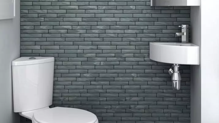 Design toaletu v Chrushchevce (58 fotografií): Dokončení malých toalet s dlažbou a jinými materiály. Možnosti interiéru WC 10503_32
